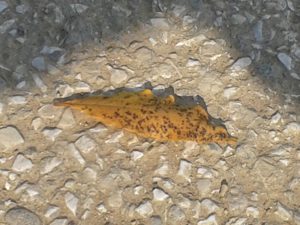 20160607_172024